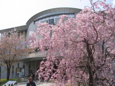 �򒹎R�����@�a��j����